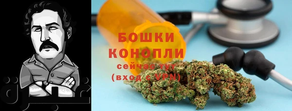 ПСИЛОЦИБИНОВЫЕ ГРИБЫ Кулебаки