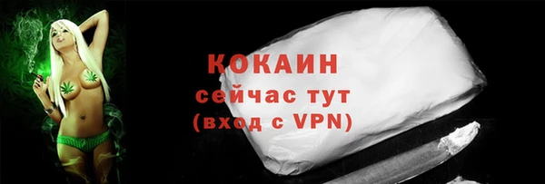 твердый Абаза