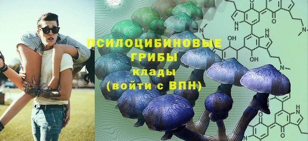 твердый Абаза