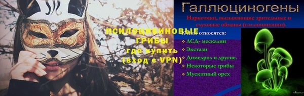 индика Алексеевка