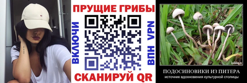 гидра tor  Аксай  мориарти Telegram  Галлюциногенные грибы MAGIC MUSHROOMS 